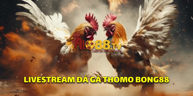 Bong88: Nhà Cái Thể Thao Trực Tuyến Uy Tín Hàng Đầu 4 Giao diện đá gà livestream tại Bong88, cho phép đặt cược trực tiếp trên các trận cựa dao