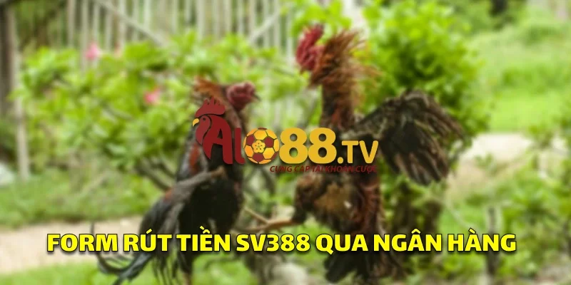 Form rút tiền yêu cầu thông tin tài khoản ngân hàng và số tiền, đảm bảo giao dịch an toàn và minh bạch.