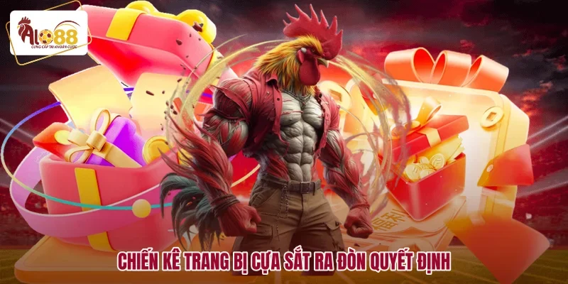 Chiến kê trang bị cựa sắt ra đòn quyết định