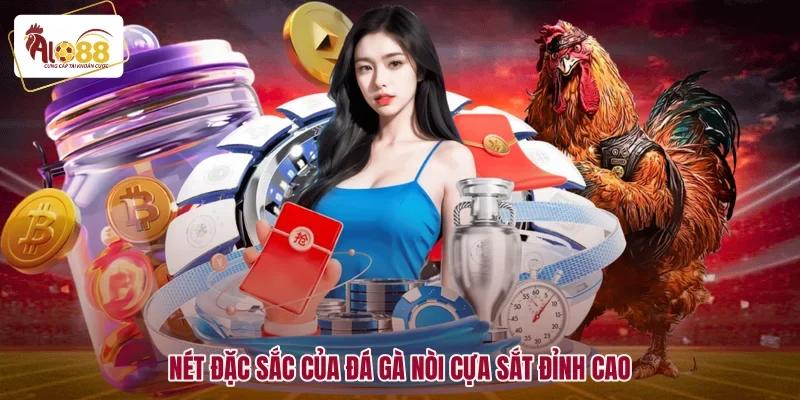 Nét đặc sắc của đá gà nòi cựa sắt đỉnh cao