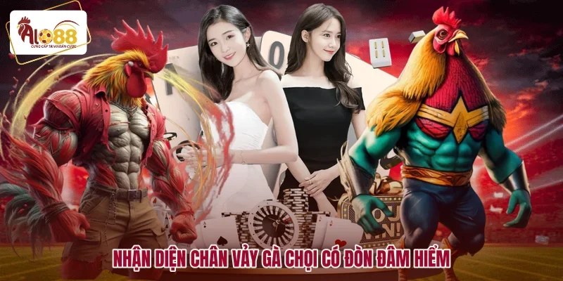 Nhận diện chân vảy gà chọi có đòn đâm hiểm
