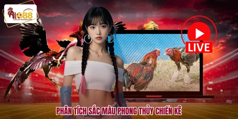Phân tích sắc màu phong thủy chiến kê