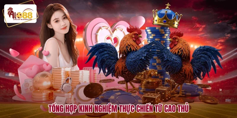 Tổng hợp kinh nghiệm thực chiến từ cao thủ