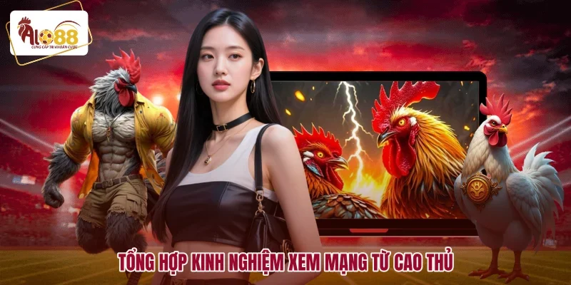 Tổng hợp kinh nghiệm xem mạng từ cao thủ