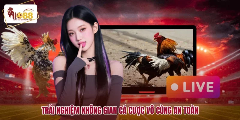 Trải nghiệm không gian cá cược vô cùng an toàn
